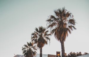 SA companies hopeful of conquering Tunisian market