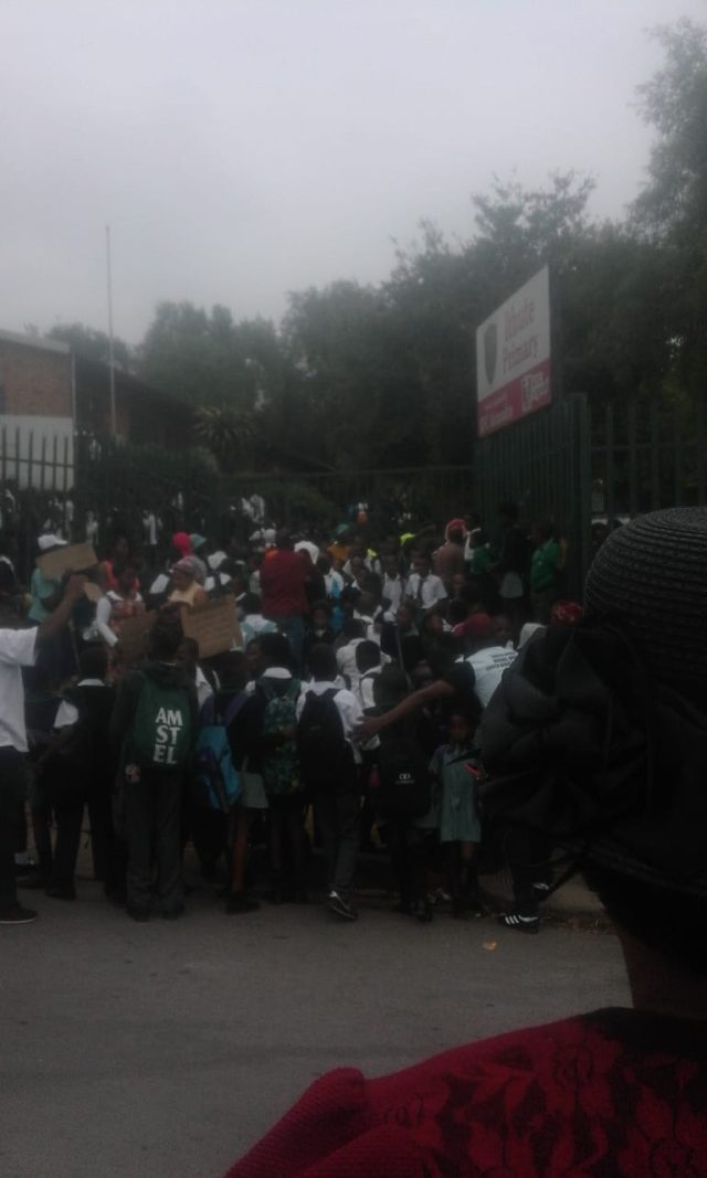 WhatsApp Image 2019-03-11 at 11.13.40 (1)