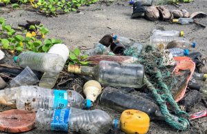 Let’s get SA clean